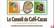 Conseil café-cacao