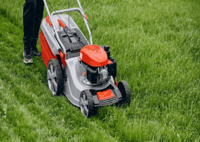Entretien des immeubles et espaces verts
